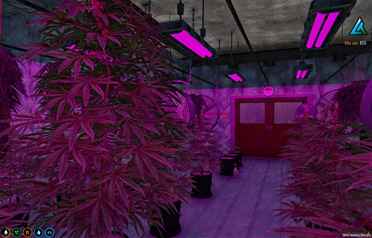 Secret underground marijuana plantation