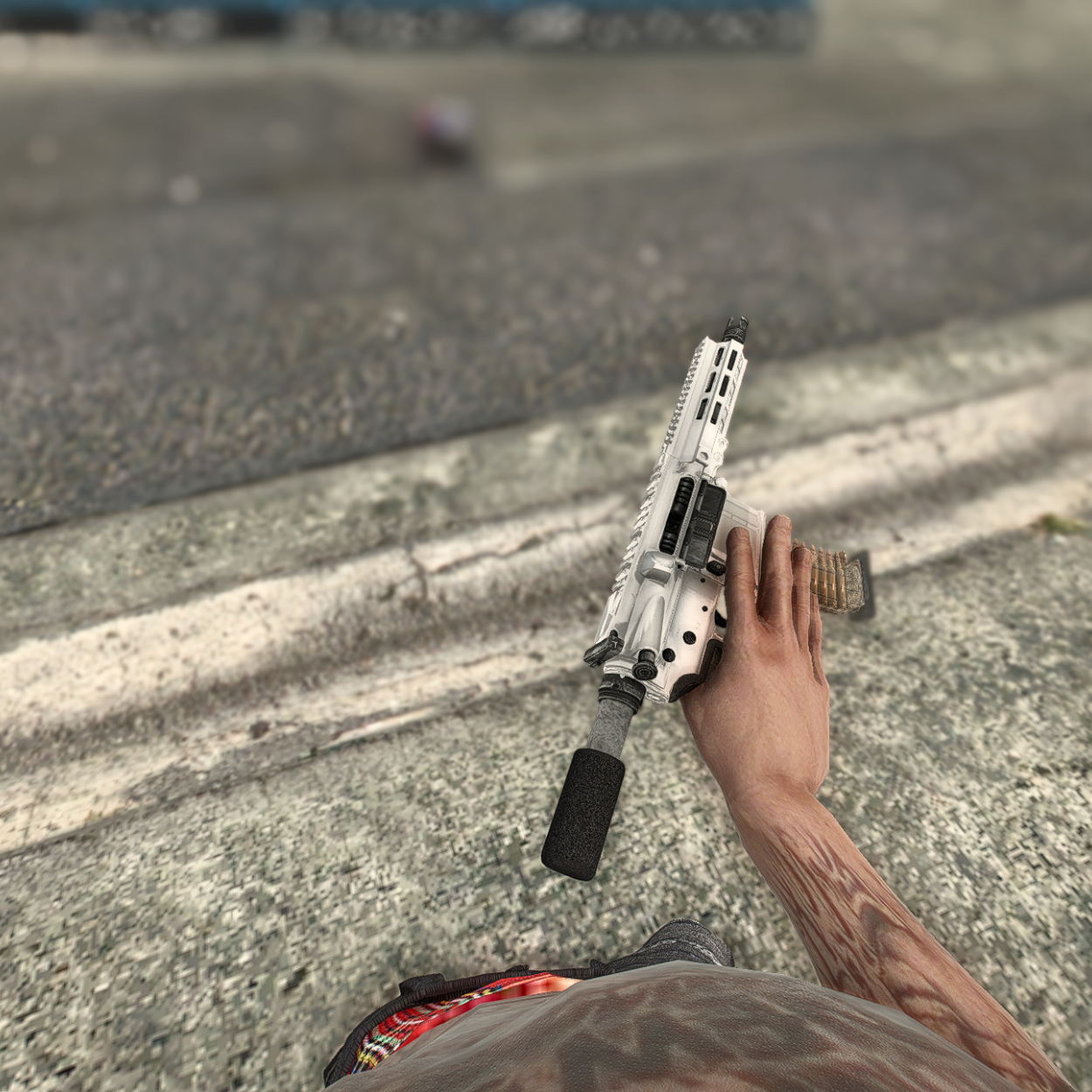 556 White ARP + Clear Mag