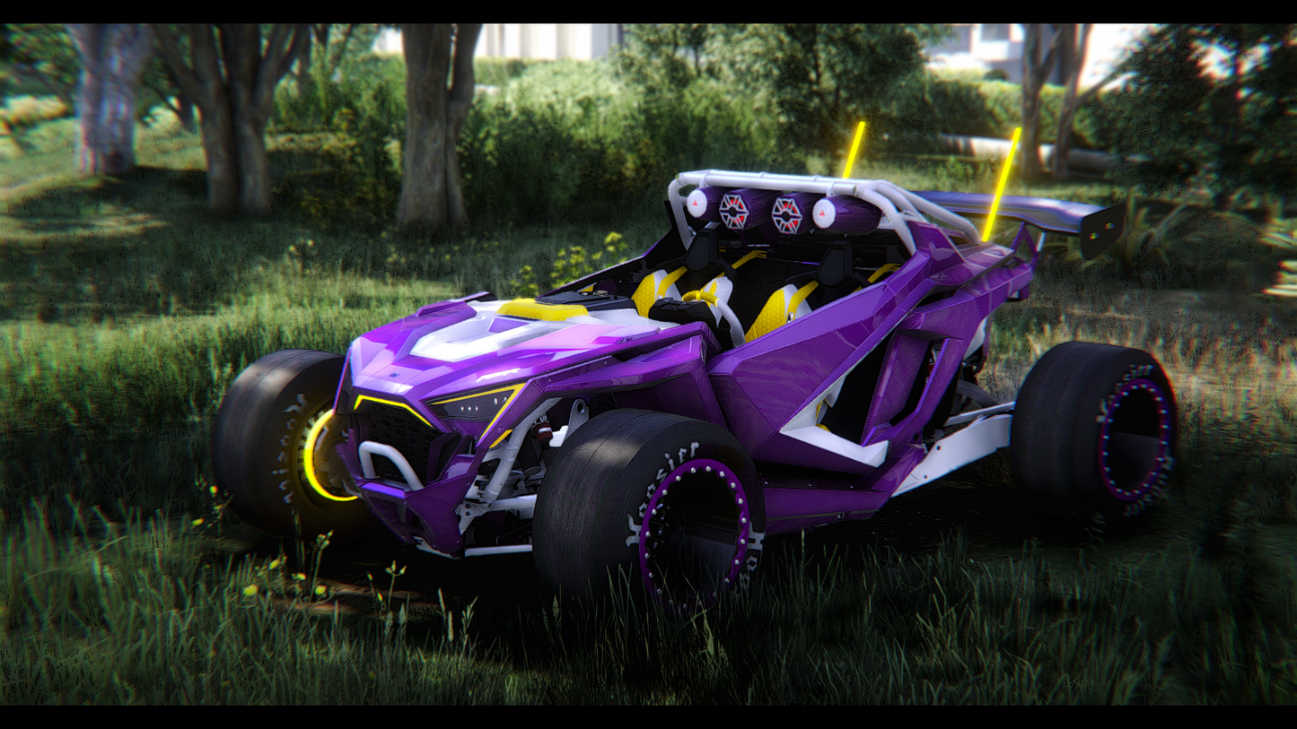 Polaris RZR Roadster Pro H2R