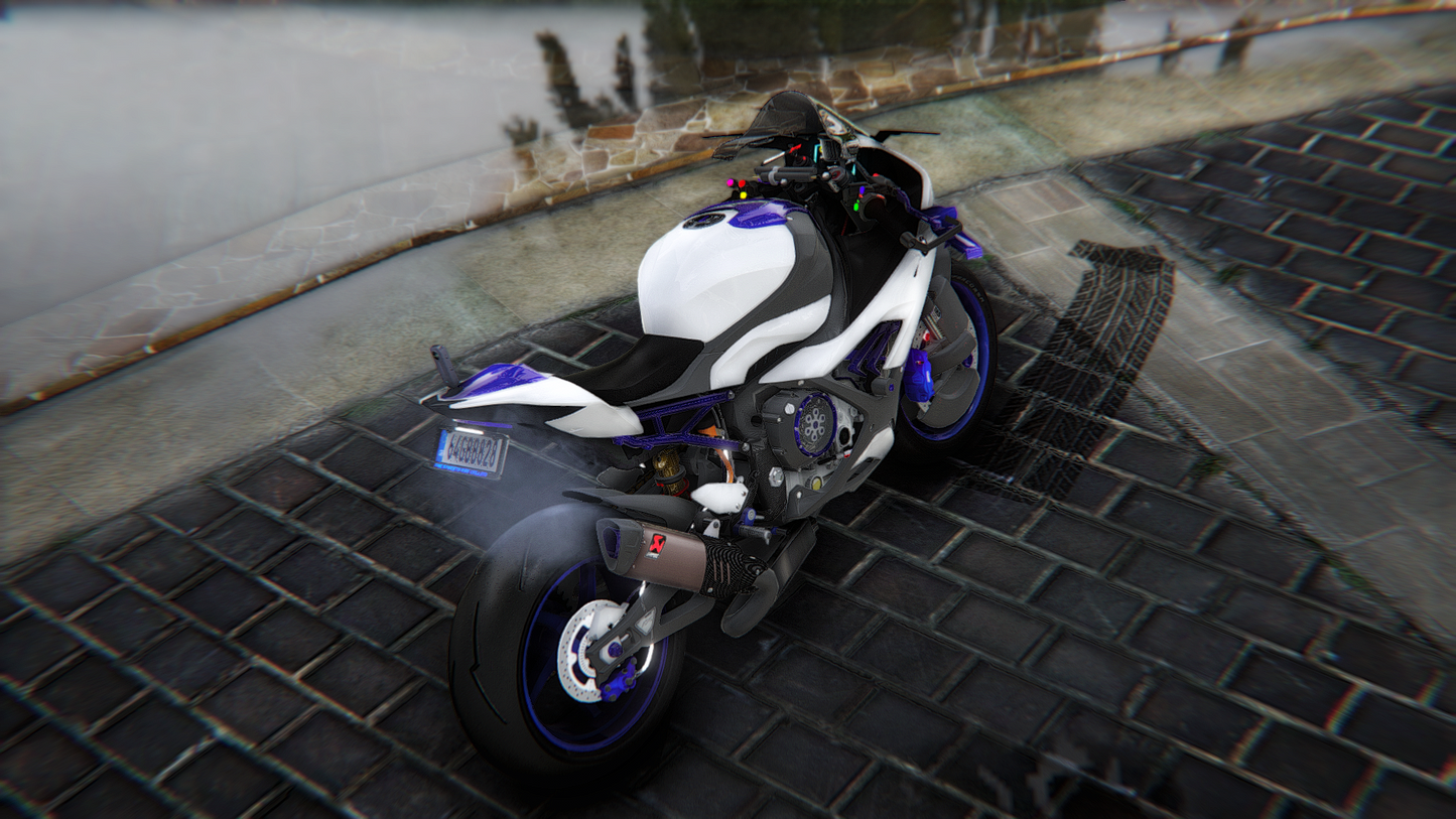 BMW S1000RR Performance Custom