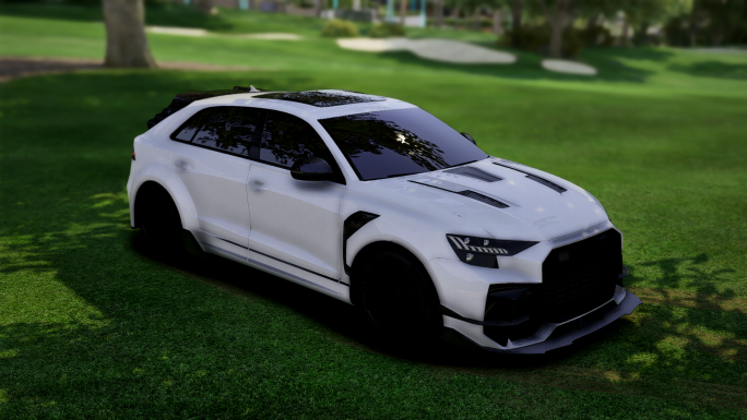 Audi RSQ8 Darwin Pro | Ohne Abzeichen