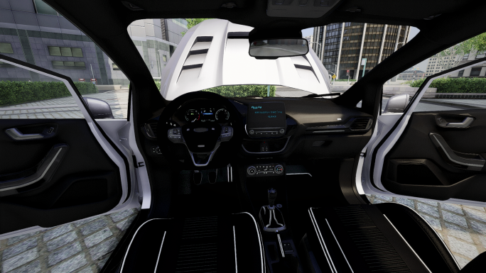 Ford Fiesta MK 8 EMR | Debadged