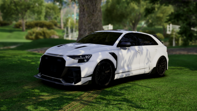 Audi RSQ8 Darwin Pro | Ohne Abzeichen