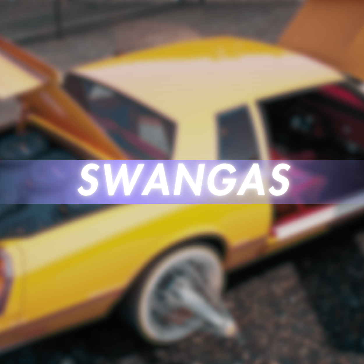 Swangas