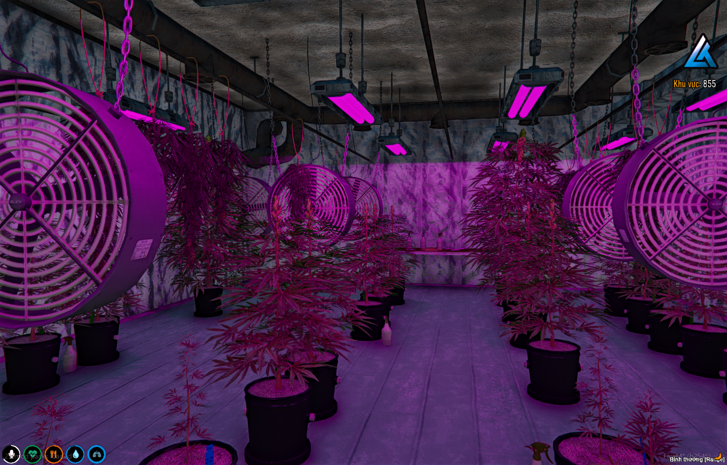 Secret underground marijuana plantation
