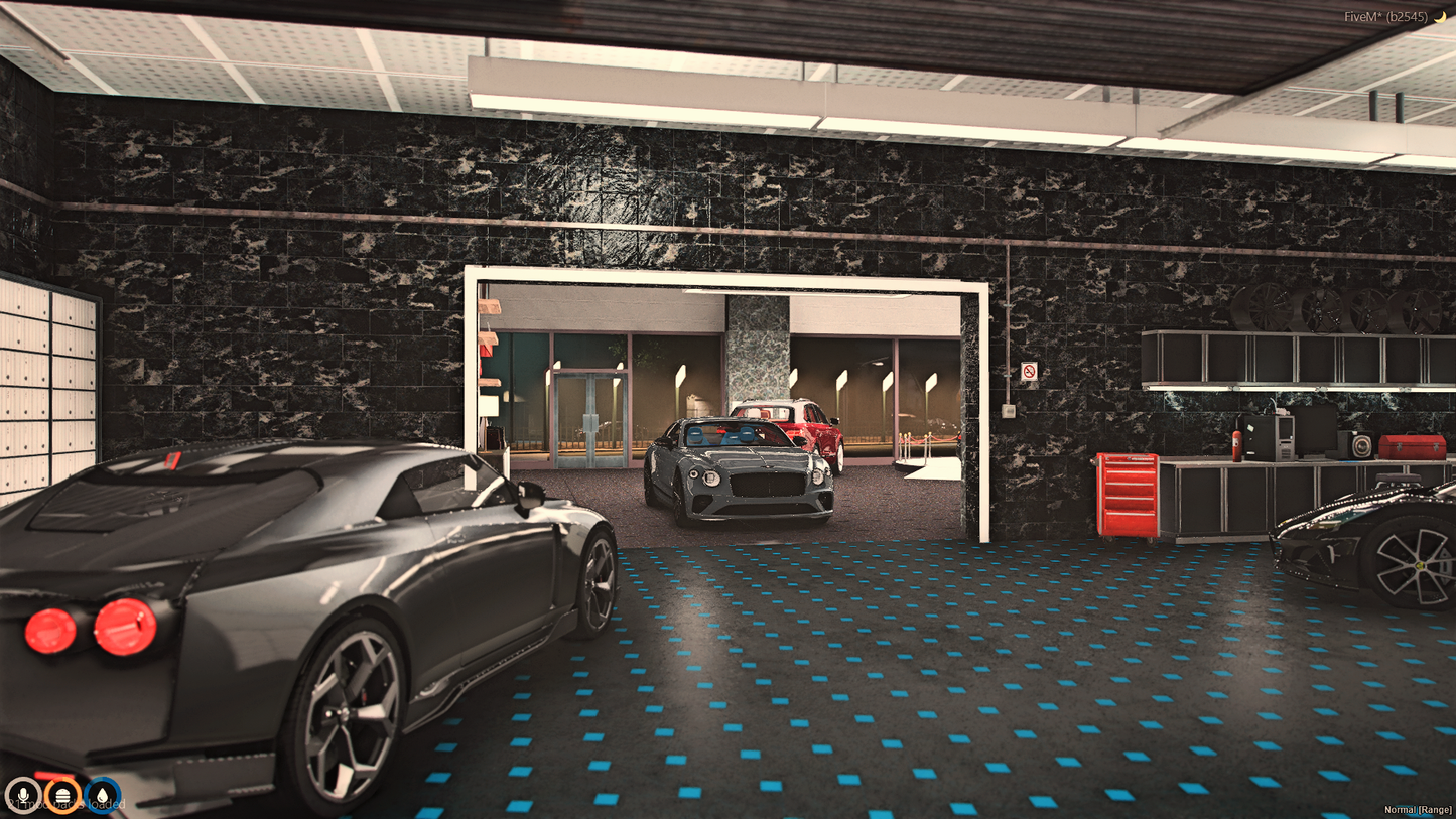 Premium Deluxe Motorsport