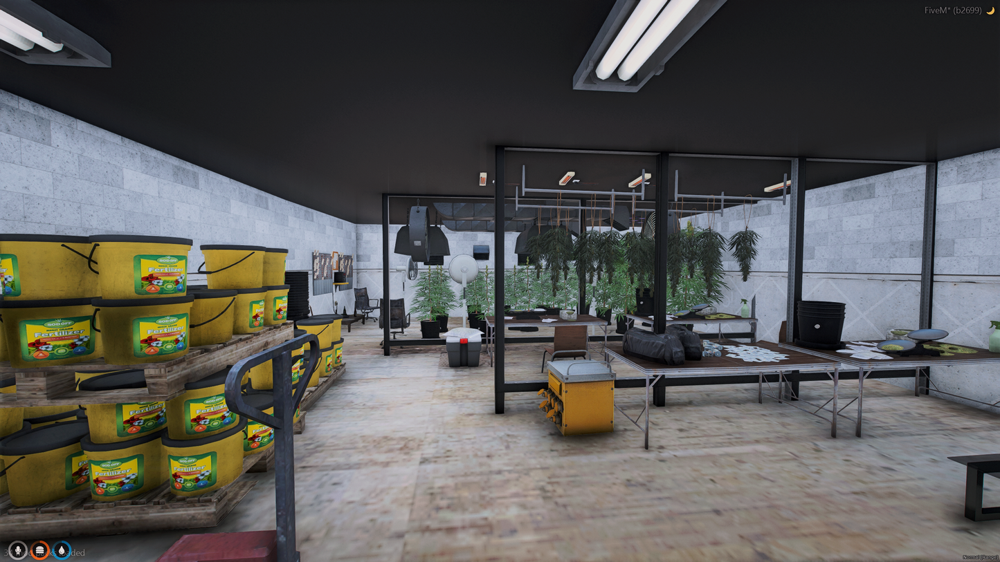 LITTLE SEOUL AREA GANGSTER