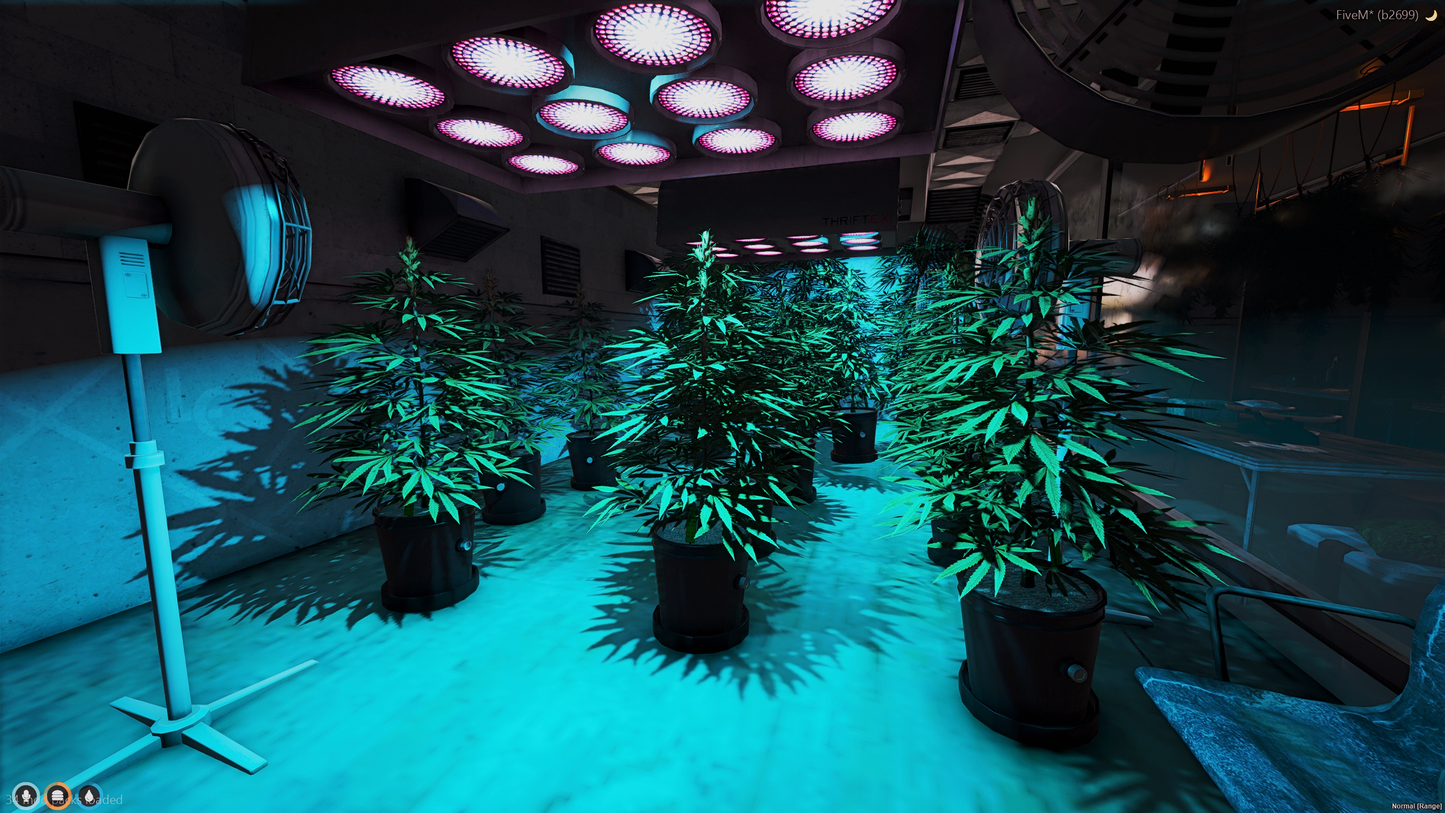 LITTLE SEOUL AREA GANGSTER