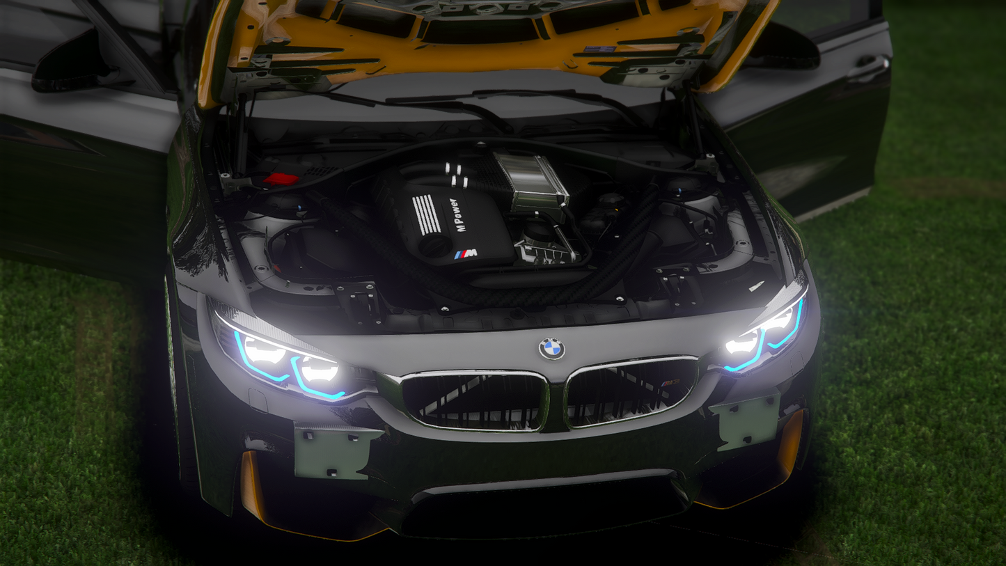 BMW M3 F80 Racks