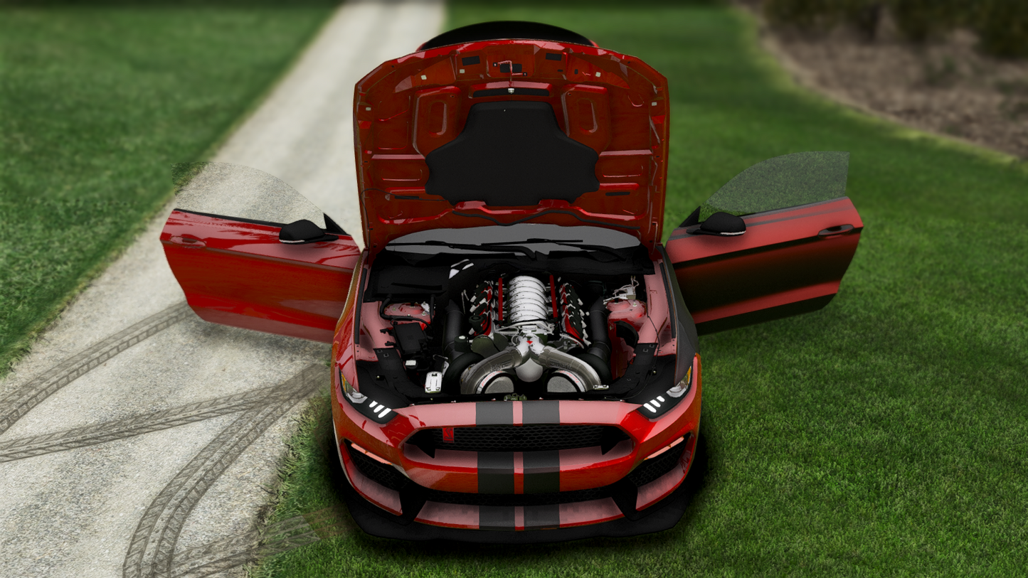 Ford Shelby Mustang GT350 Drag