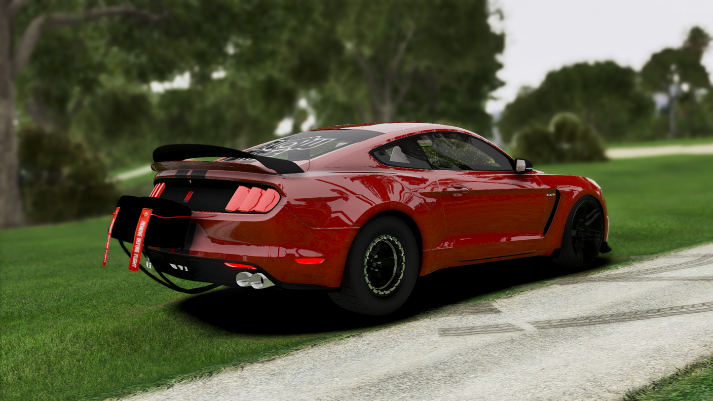 Ford Shelby Mustang GT350 Drag