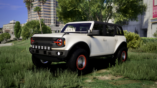 Custom Riata X